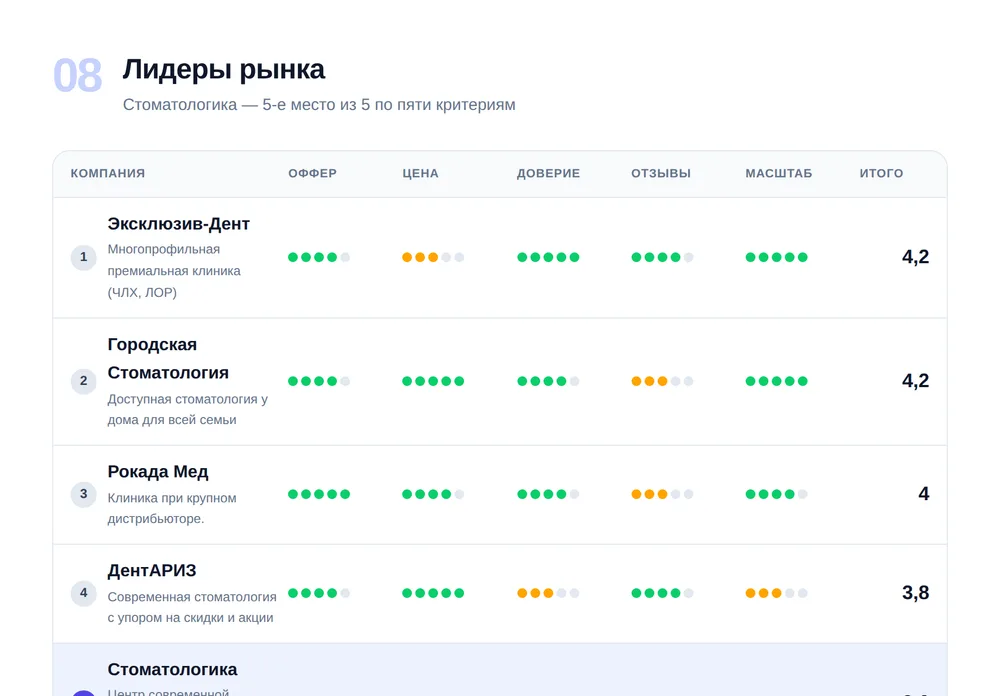Фрагмент отчёта: лидеры рынка